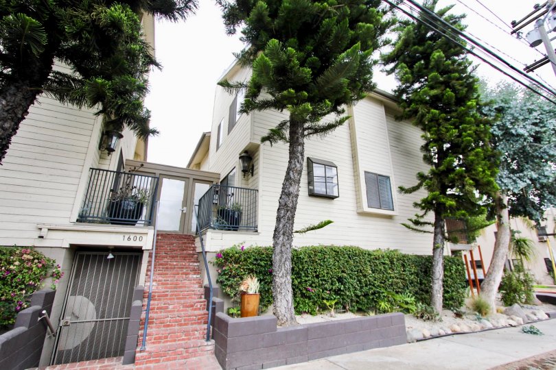 The hedges around the building at 1600 Redondo Ave