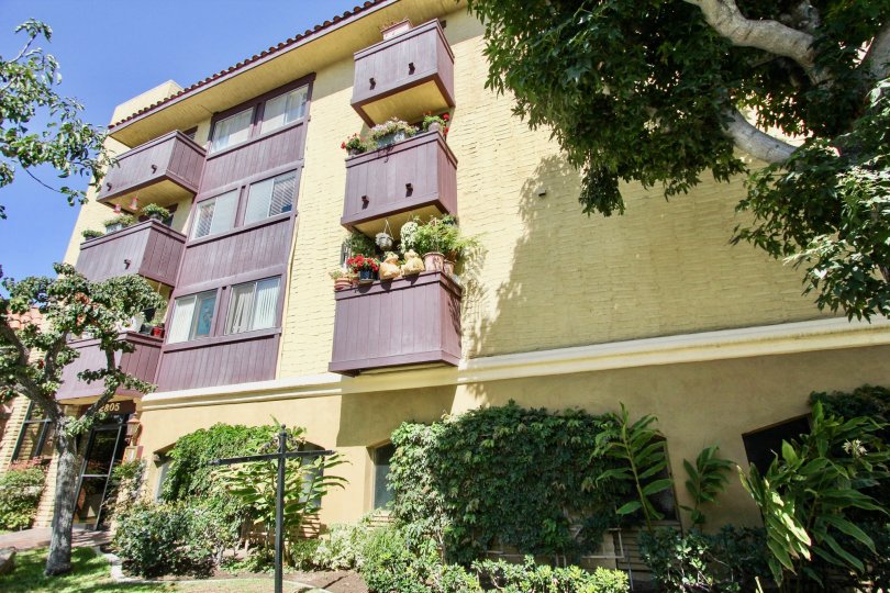 The landscaping around 2805 E 3rd St in Long Beach, California