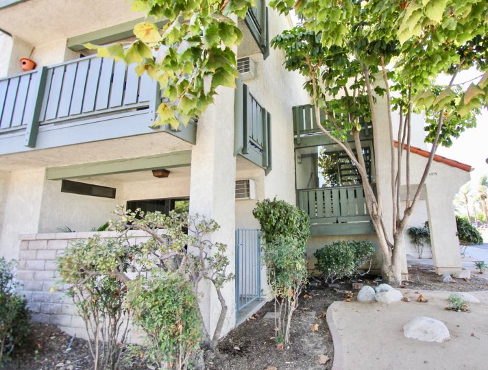 The landscaping around 4515 California Ave in Long Beach, California