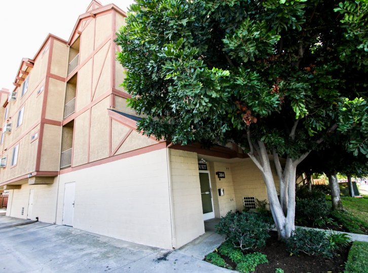 The view of Dover Court in Long Beach, California