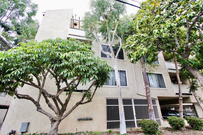 The landscaping around Junipero Heights