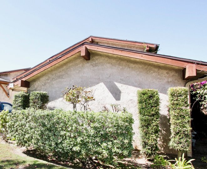 The hedges around the La Mason building