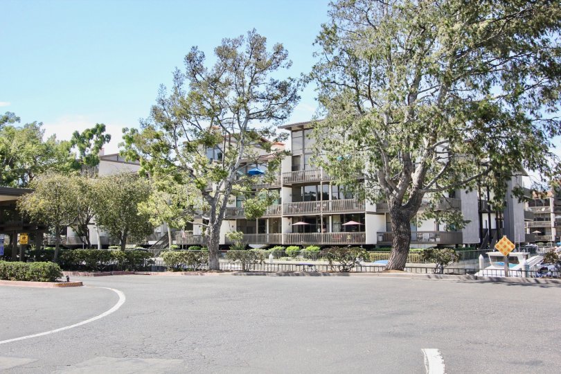 The landscaping around Marina Pacifica