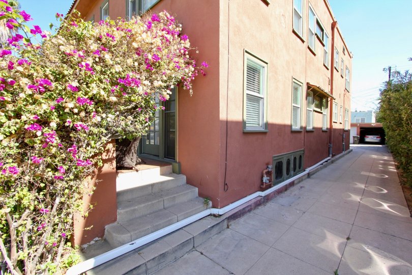 The stairs up to Roasalia Road