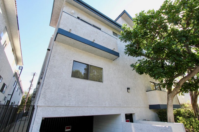 The windows in the Mitchell Townhomes