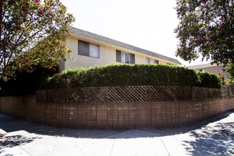 The landscaping seen around 4881 Cleon Ave in North Hollywood