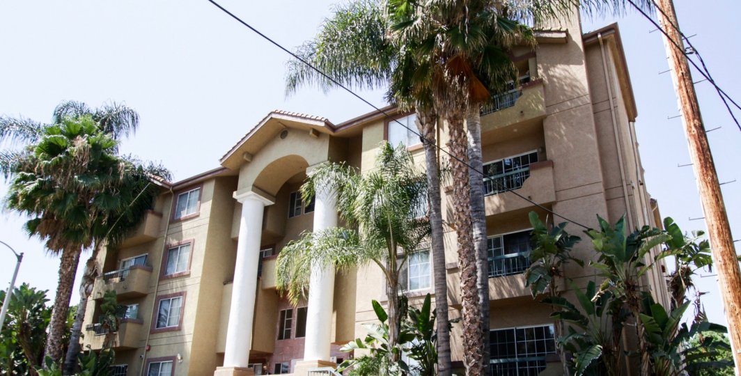 The view of Toluca Gardens