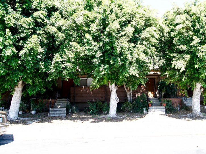 The landscaping around Terra Bella Gardens in Panorama City California