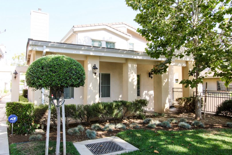 The landscaping around 82 Virginia Ave in Pasadena, California