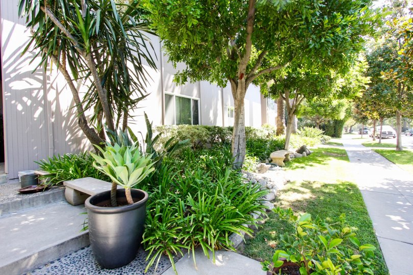 The landscaping around 900 S Orange Grove Blvd