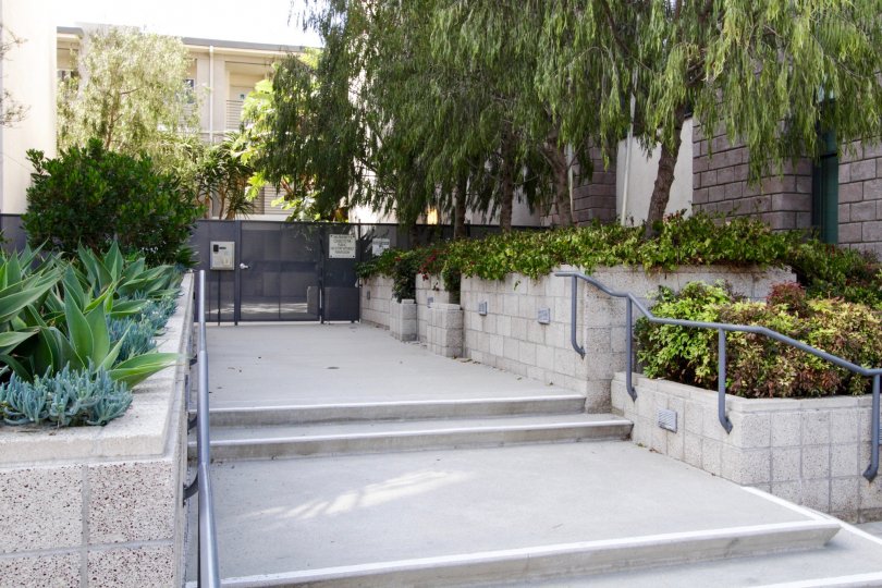 The landscaping seen around the Concerto at Playa Vista