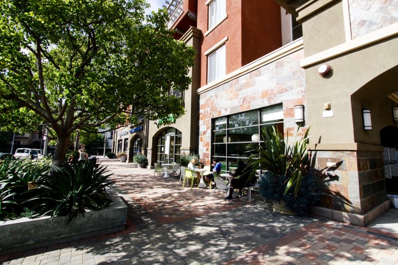 The landscaping around Tempo Playa Vista