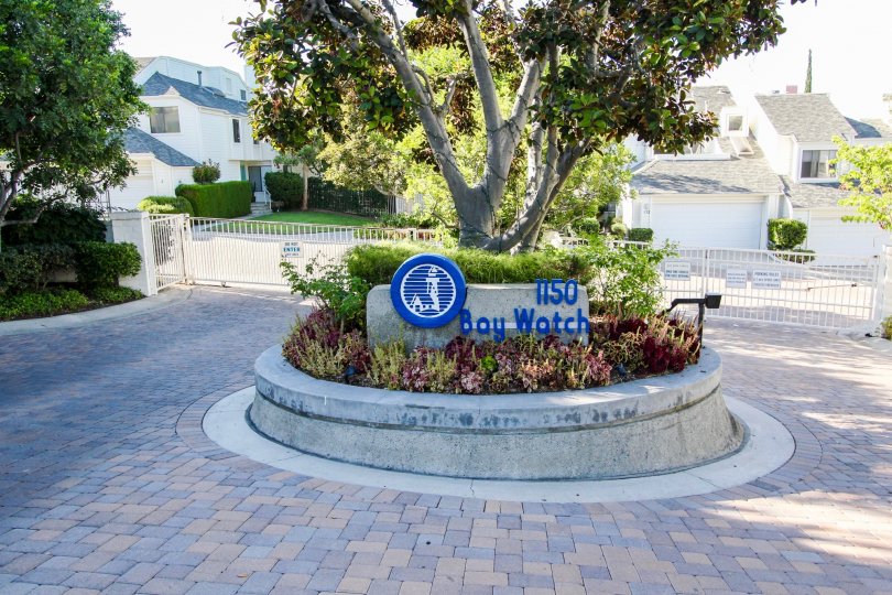 The sign announcing Bay Watch in San Pedro California