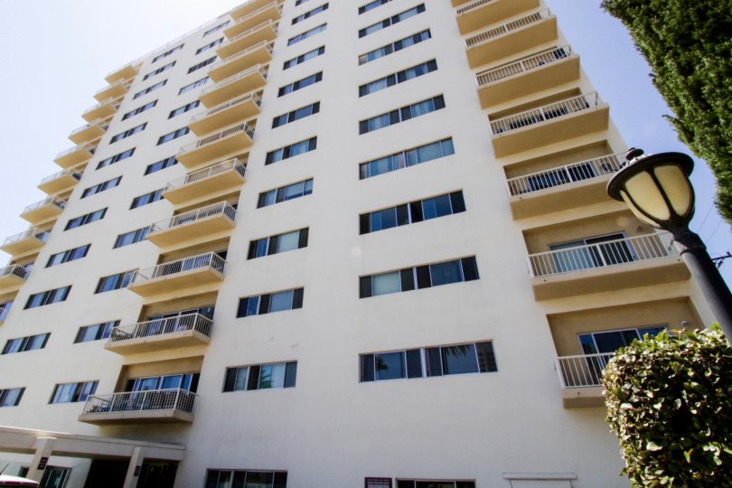 The windows at Santa Monica Bay Tower