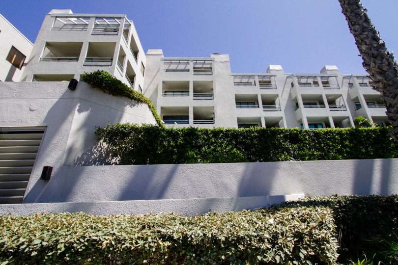 The Sea Colony III building in Santa Monica