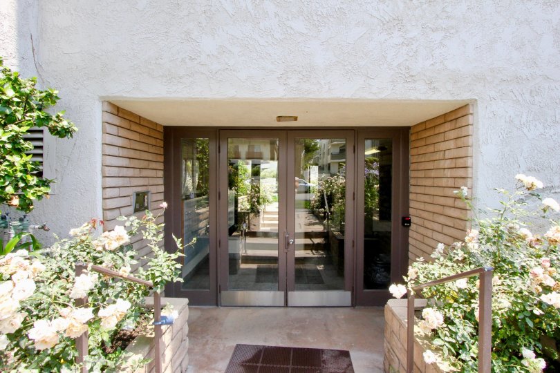 Entry of a big building in santa monica with brown door with glasses