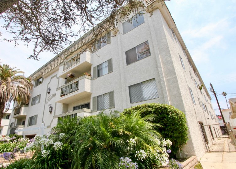 The tall Toulon Gardens campus with no one around it