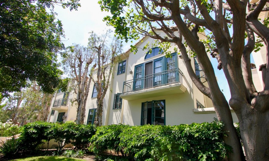 A morning in the Wilshire Princeton with a big building and trees.