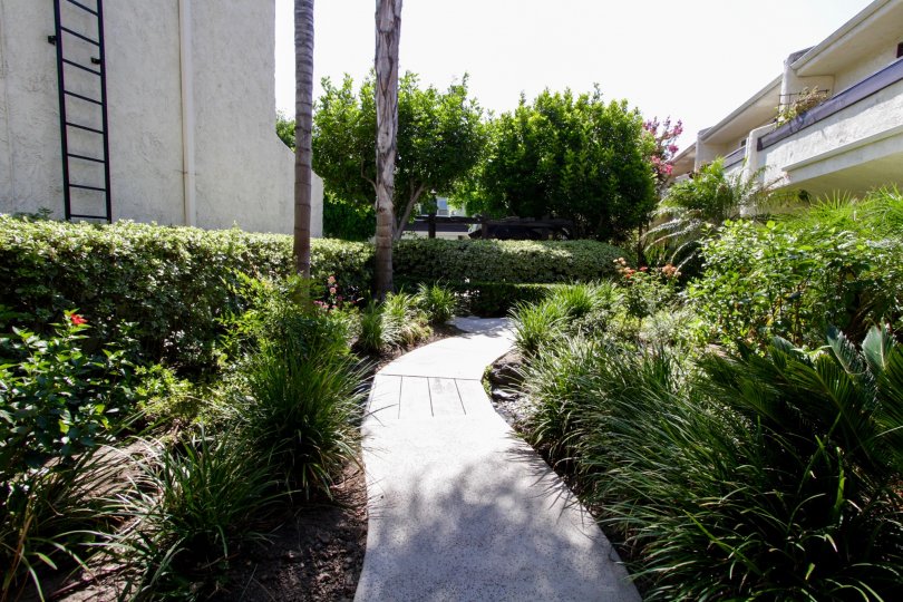 The sidewalk through the Sherman Oaks Courtyard in Sherman Oaks
