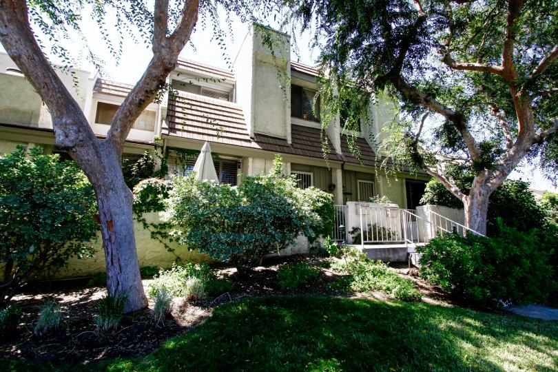 The landscaping seen around Studio Village in Studio City