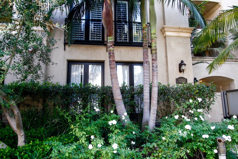The landscaping around the Vita Belle in Studio City