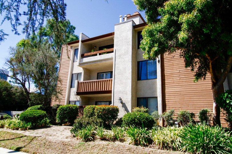 The windows seen in Valley Oaks II
