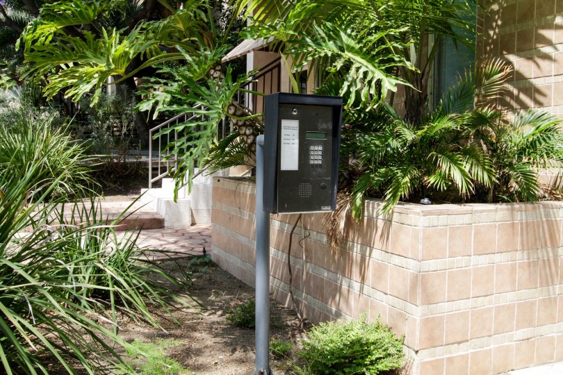 The landscaping around 924 N Palm