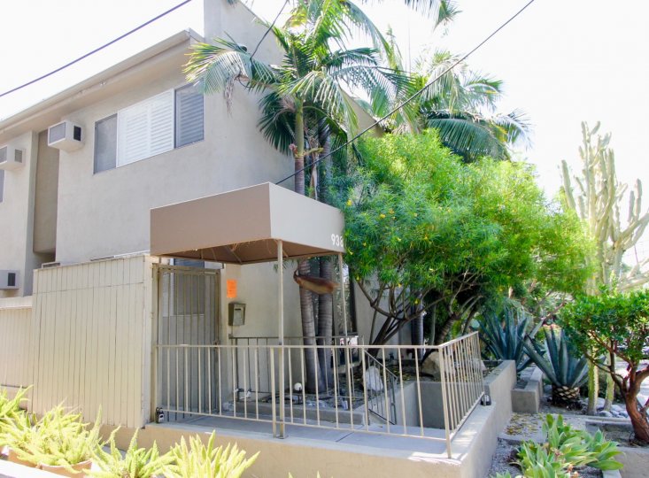 Beautiful living in 938 Palm community in West Hollywood, California. Enjoy our palm trees and unique community bring the beauty of nature in a compact space.