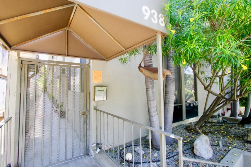 close shot of 938 Palm and her surroundings, West Hollywood, California