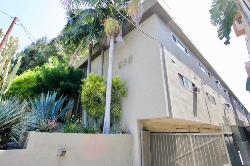 Palm trees next to a stucco apartment complex at 938 Palm Street in West Hollywood, California