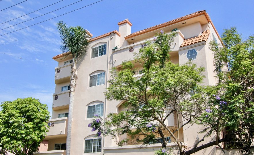 post wire is infront of house and house contains many windows and trees contains flowers and house constructed with shell and balcony contains window