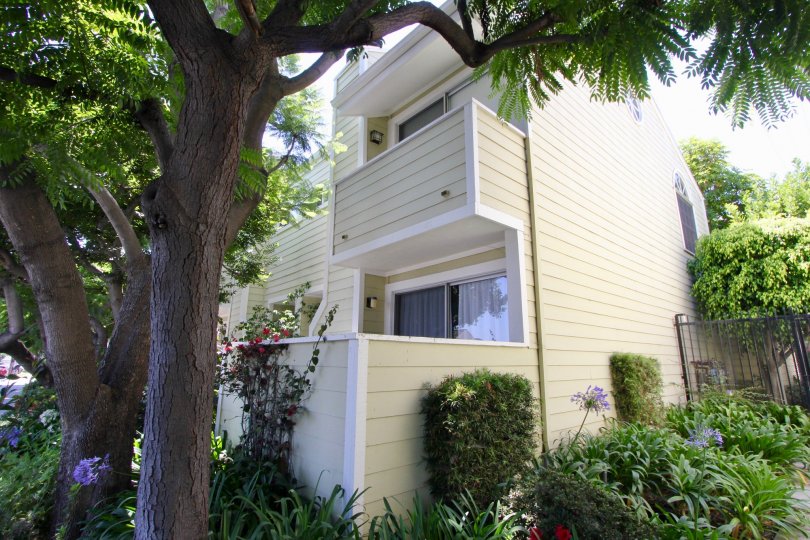 Beautiful Gardens and flowers with large shady trees and trimmed hedges line these West LA townhomes
