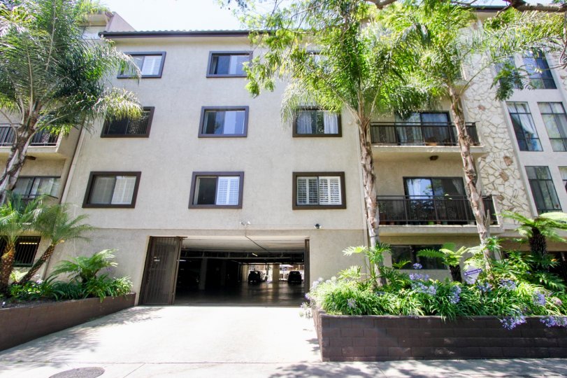 clean and clear front view of the building in Community Camden Manor
