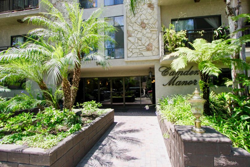A sunny day in Camden Manor CA, showing the fronatge of a building and palm trees