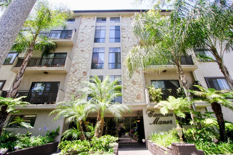 An extra-ordinary outlook with trees along with the building excellence at Camden Manor.
