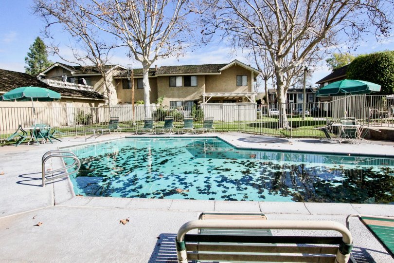 a warn day in the sutter creed town homes with a building that has swiming pool and 3 tall tree in front
