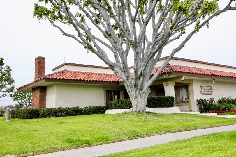 THIS IMAGE SHOWS THE HOUSE WITH BEAUTIFUL LAWN, PLANTS, TREES, PATHWAY TO HOME, NAME BOARD ON THE WALL ARE IN BUENA PARK