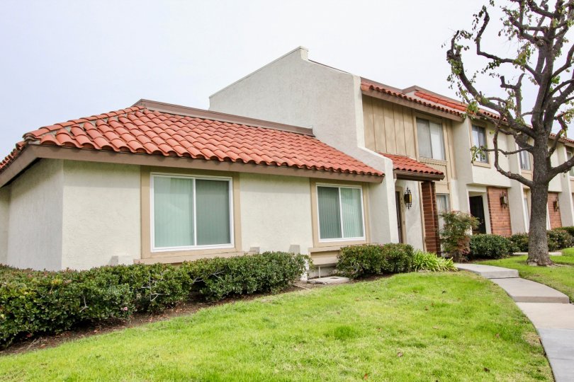 a rainy day in the casitas california with a house that has roofless top and tree in the front on ground around