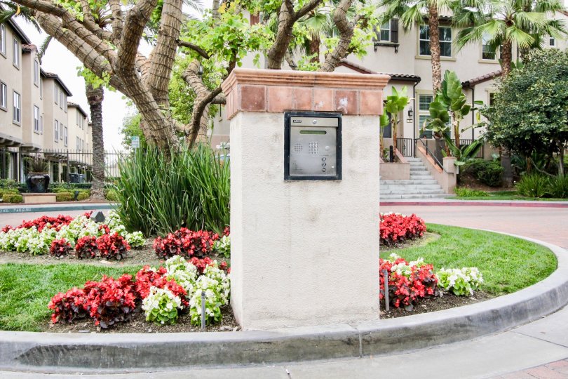 Marvellous view of flower garden in front of villa with trees in Founders Walk of Buena Park
