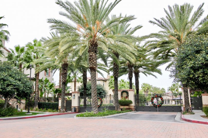 Each gate in Founders Walk has christmas ring with long trees and bushes