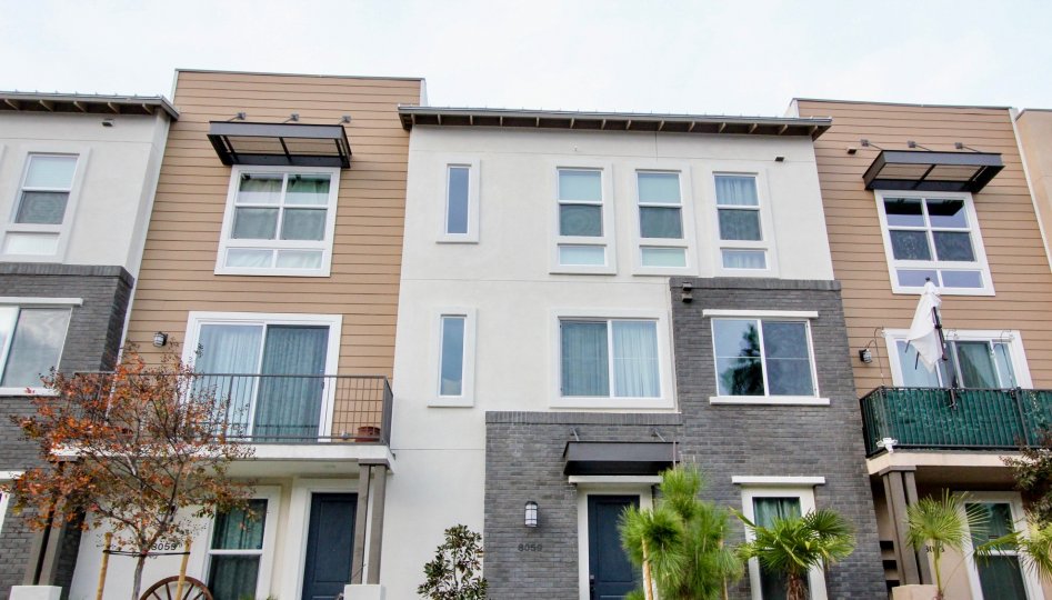 A residential apartment in THe Parker Collection with glass windows.