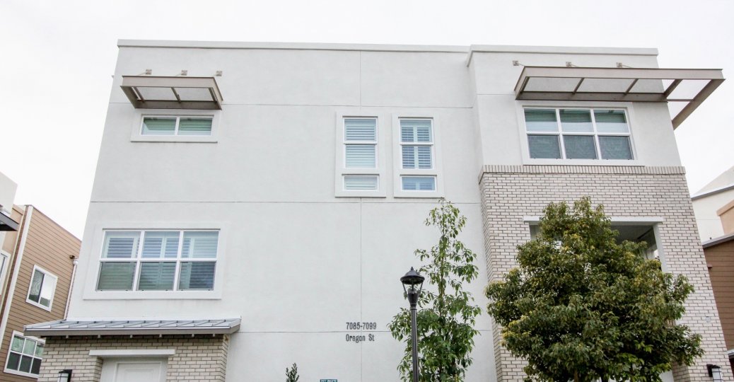 THE 7085-7099 FLATS IN THE PARKER COLLECTION WITH THE TREES