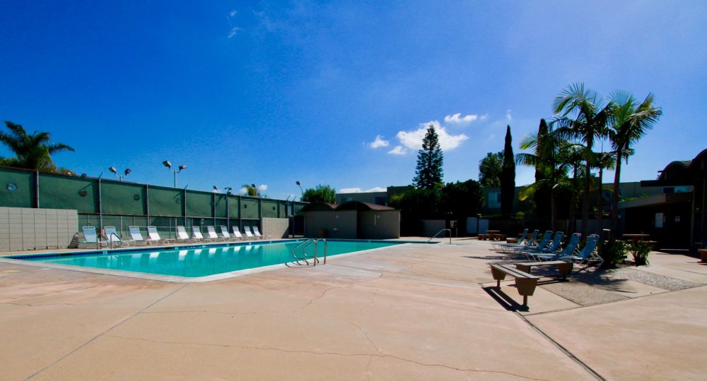 Newport Riviera pool with benches and deck chairs on a sunny day.