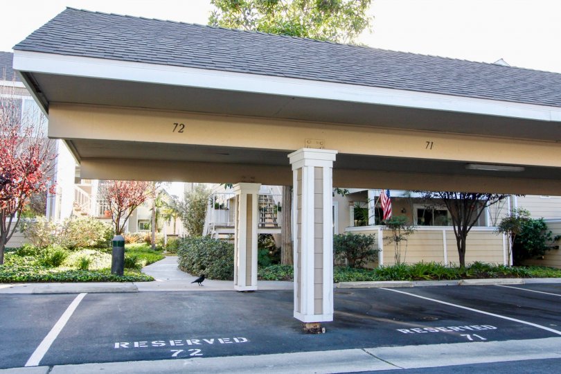 Side parking area view of Niguel Beach Terrace Community, Dana Point, CA