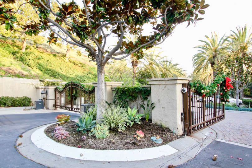 a warm day in the ritz pointe with house that has out gate and garden around
