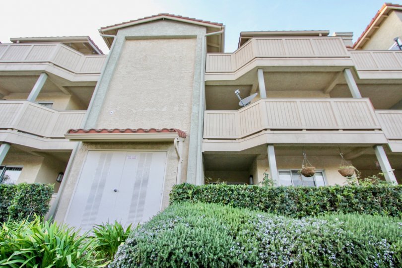 Apartment in Ritz Pointe has dish connected in Balcony with flower pots