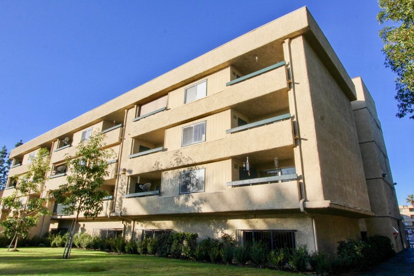 THIS IMAGE REPRESENTS THE APARTMENTS ARE PLACED IN THE COMMUNITY OF THE GROVE, THAT HAVE THE BEAUTIFUL LAWN, TREES, AND THE PLANTS