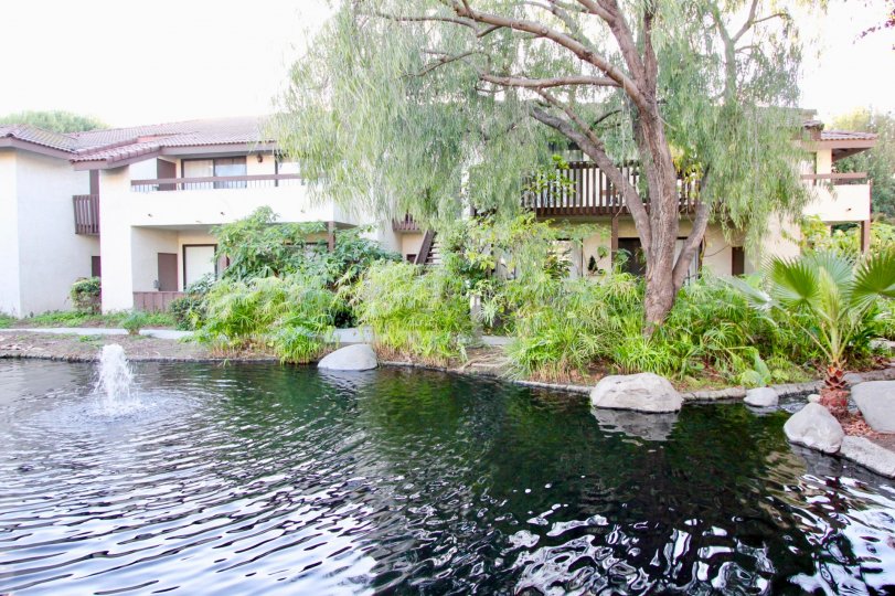 THIS IMAGE SHOWS THE LAKE NEAR BY THE HOME WITH TREES AND PLANTS WHICH IS IN THE VILLAS