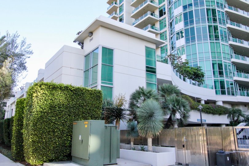 THIS IMAGE VIEWS THE VERY BIG APARTMENTS WITH PLANTS IS IN IRVINE CITY
