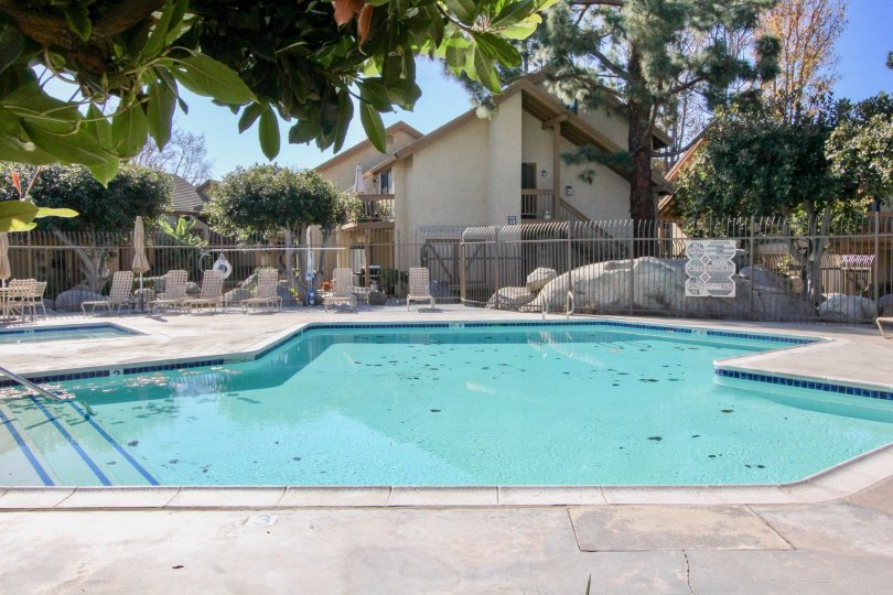 A clean pool decorated with chairs inside the compound wall near building decorated with trees and plants in Orangetree Lake Condos